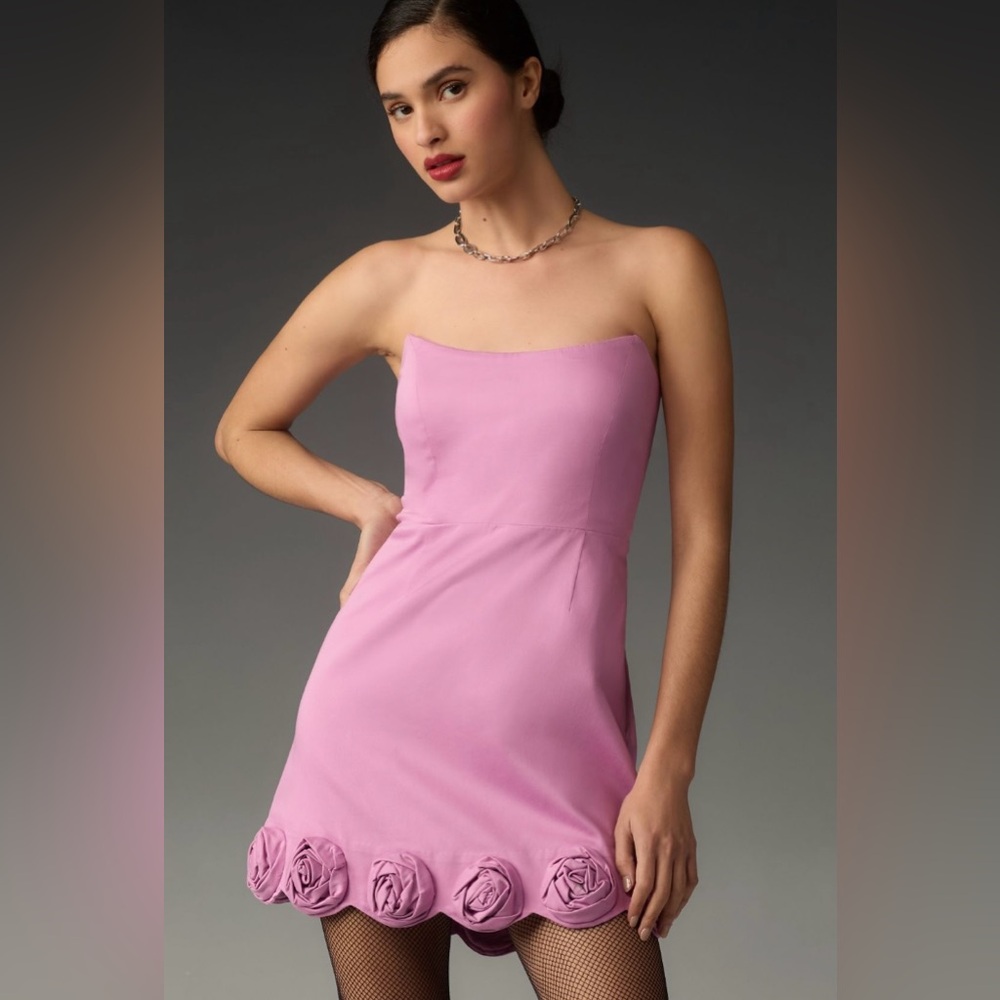 Anthropologie Dress Size L
